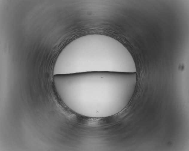 X0000112780090200908201424