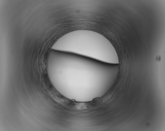 X0000112780091200908201424