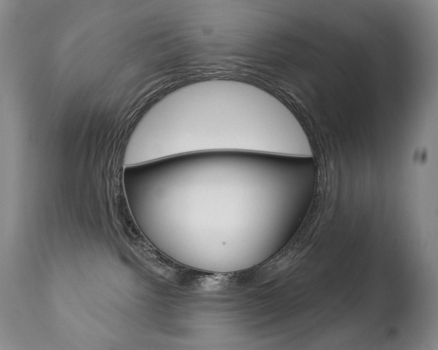 X0000112780092200908201424