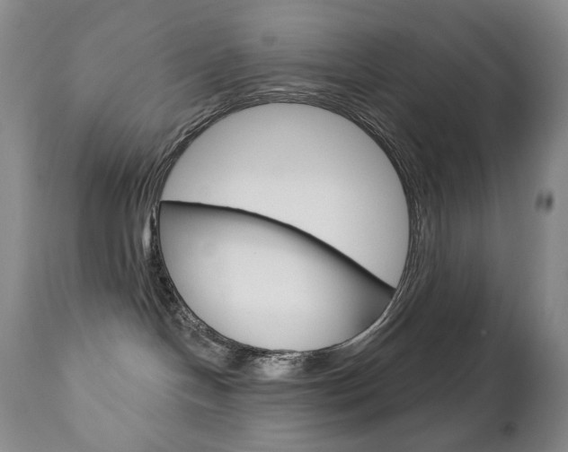 X0000112780094200908201424