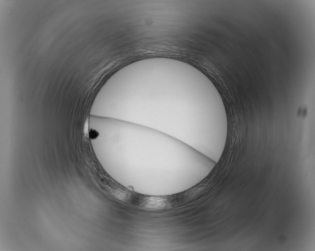 X0000112780095200908201424