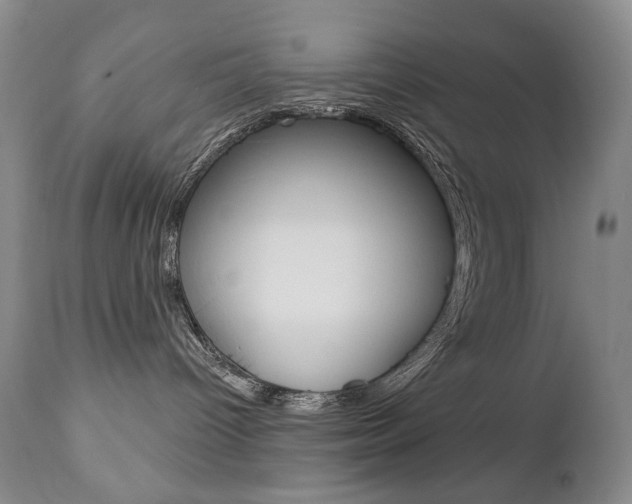 X0000112780096200908201424