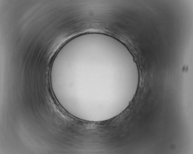 X0000112780098200908201423