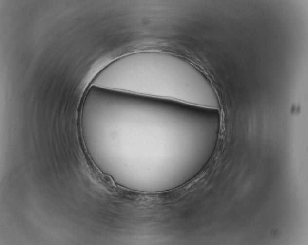 X0000112780099200908201423