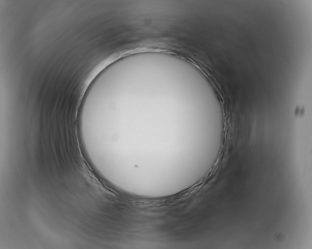 X0000112780100200908201423