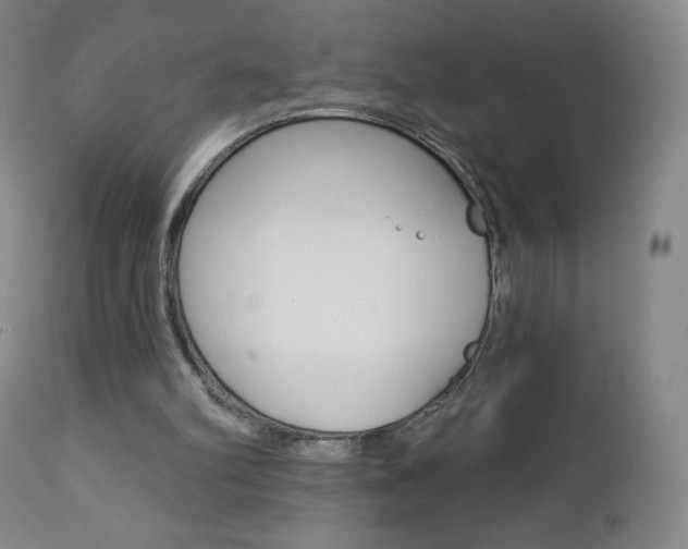 X0000112780102200908201423