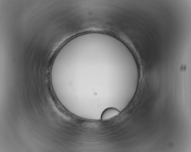 X0000112780106200908201423