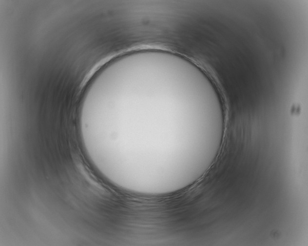 X0000112780108200908201423