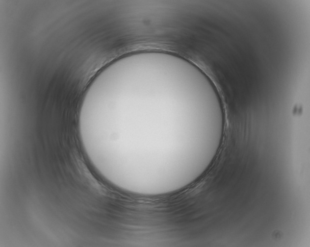 X0000112780109200908201423
