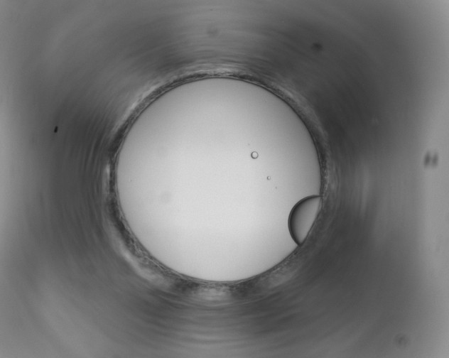 X0000112780110200908201423