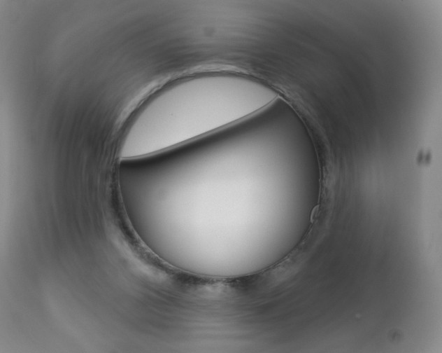 X0000112780112200908201423