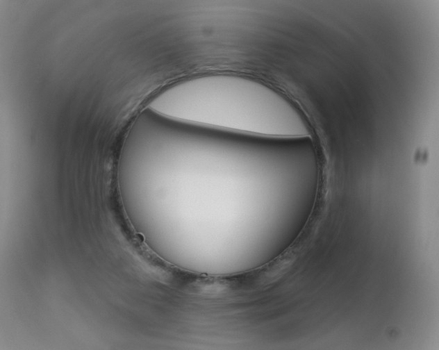 X0000112780113200908201423