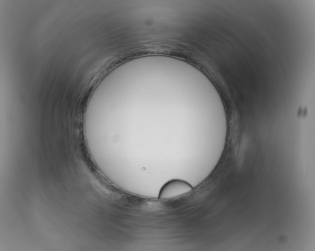 X0000112780114200908201423