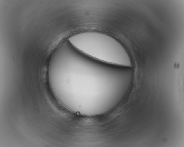 X0000112780115200908201423