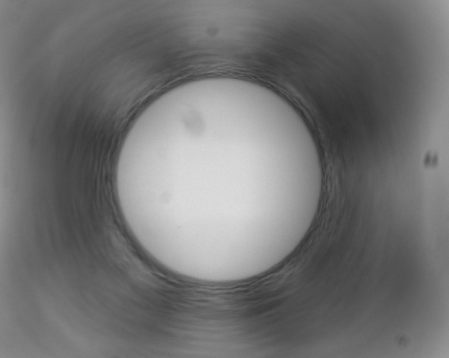 X0000112780117200908201423