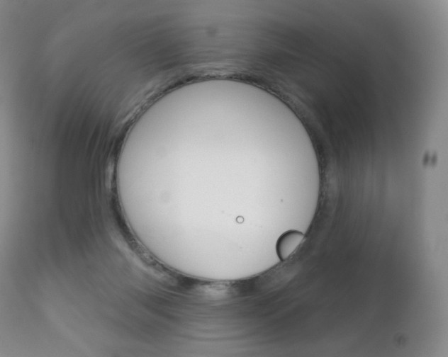 X0000112780118200908201423
