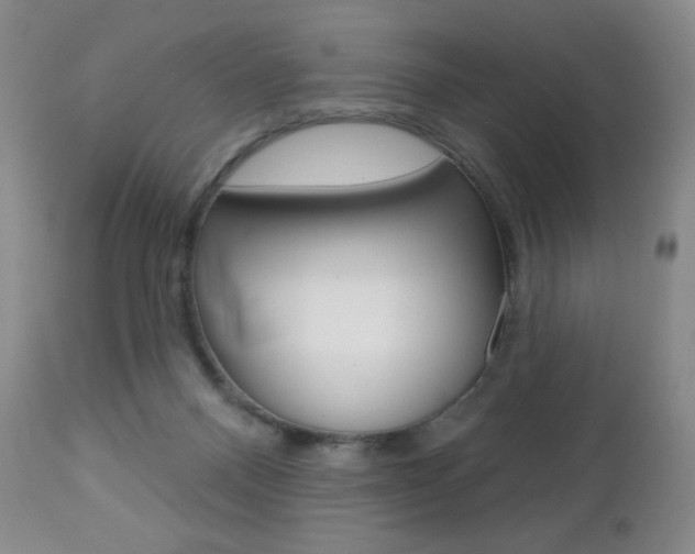 X0000112780120200908201423