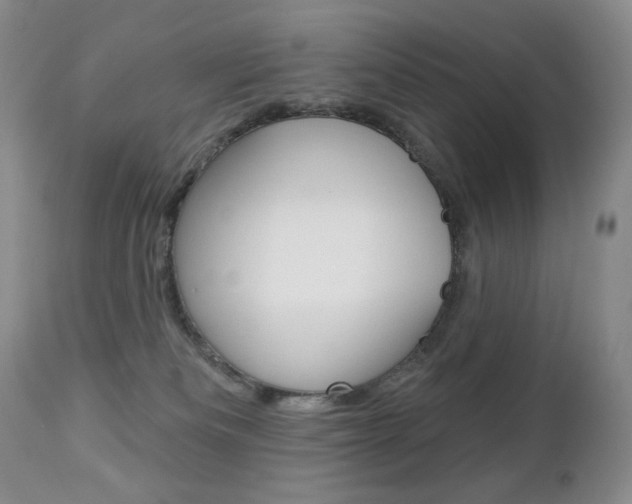 X0000112780133200908201423
