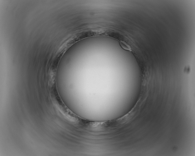 X0000112780136200908201423