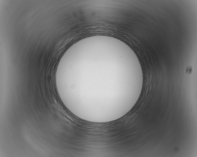 X0000112780137200908201423