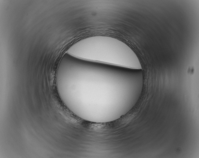 X0000112780139200908201423