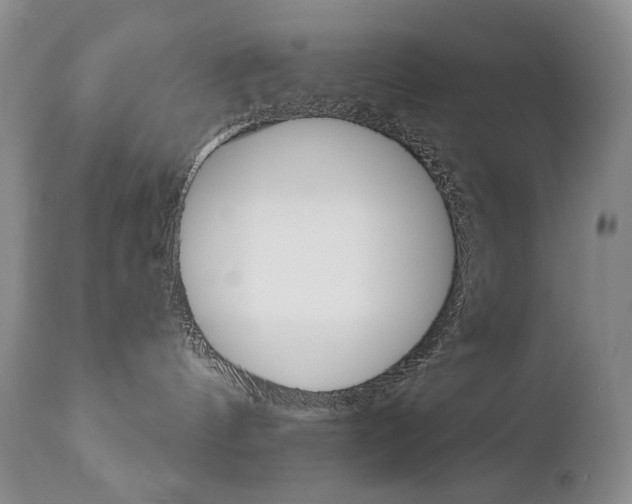 X0000112780144200908201423