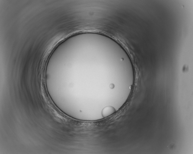 X0000112780145200908201422
