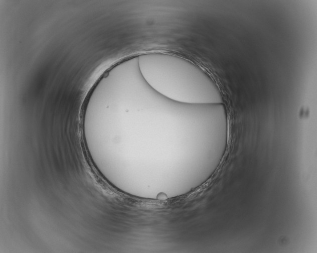 X0000112780147200908201422