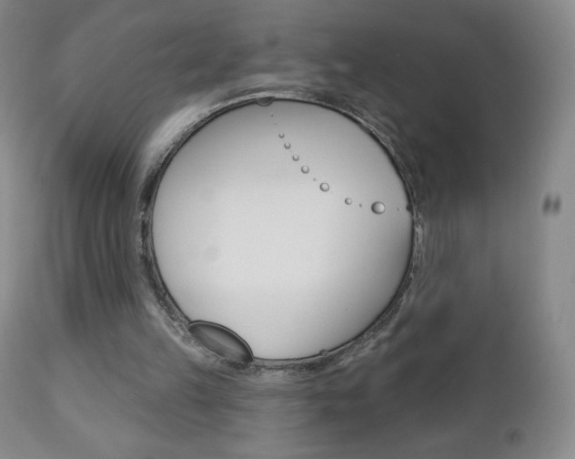 X0000112780149200908201422