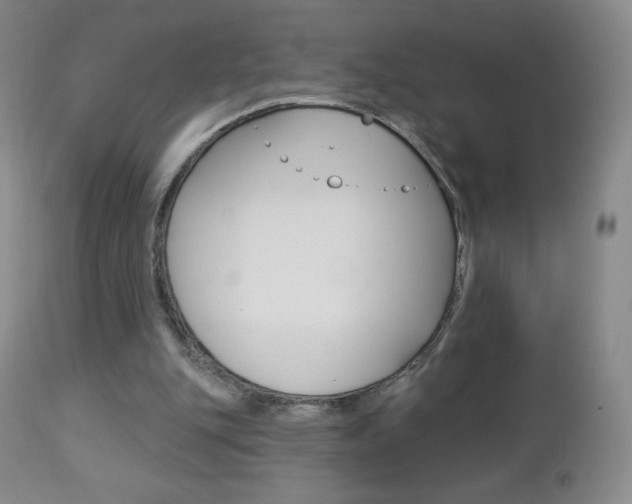 X0000112780151200908201422