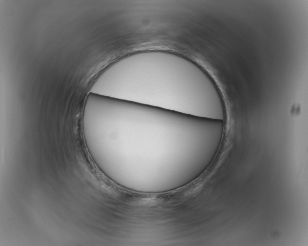 X0000112780153200908201422