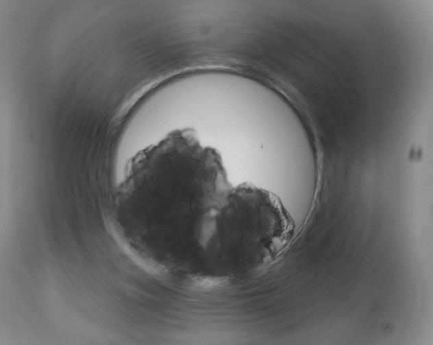 X0000112780155200908201422