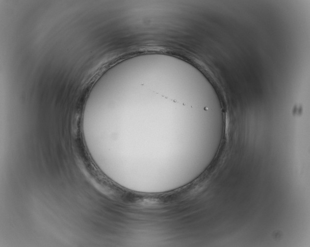 X0000112780157200908201422