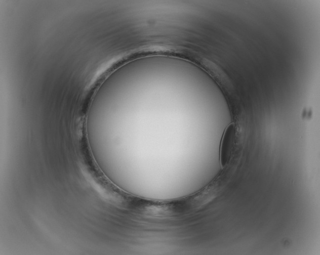 X0000112780160200908201422