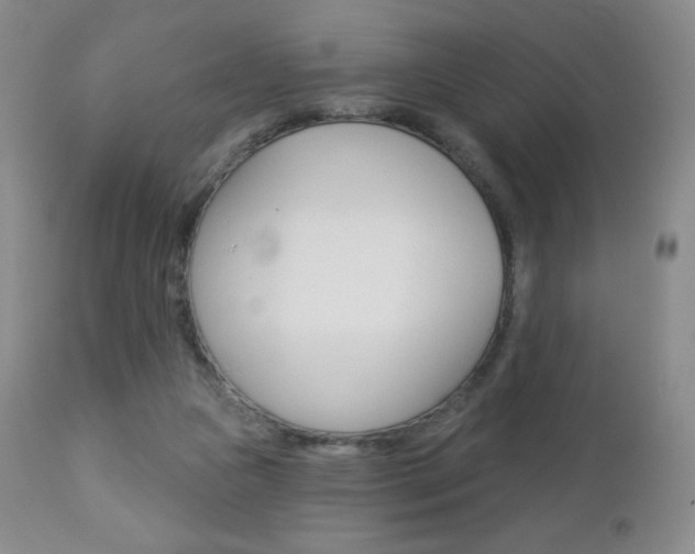 X0000112780161200908201422
