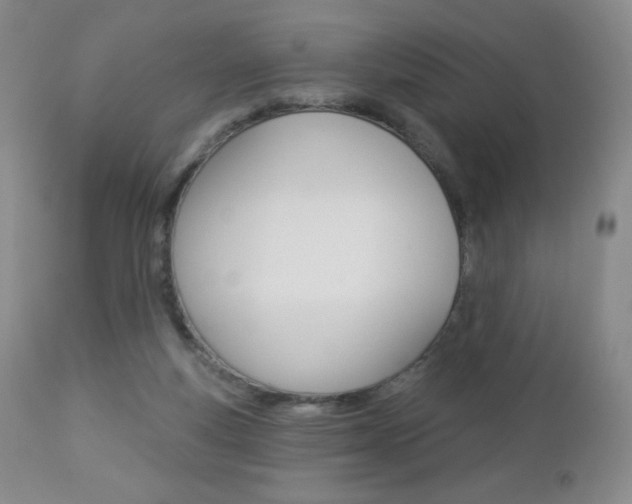 X0000112780163200908201422
