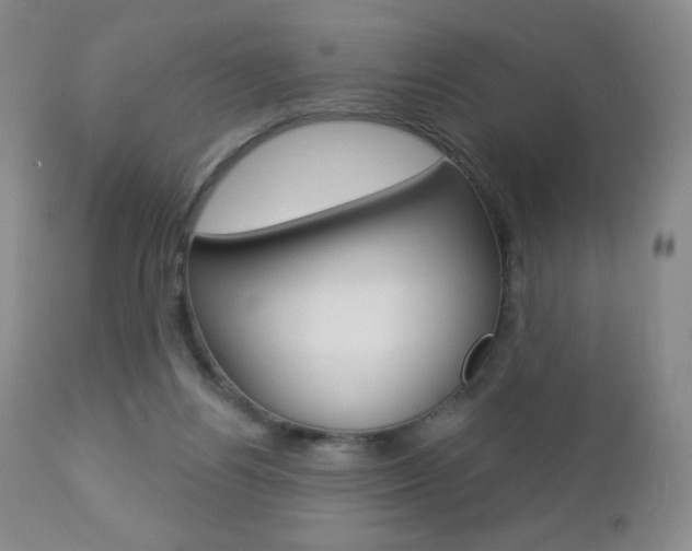 X0000112780164200908201422