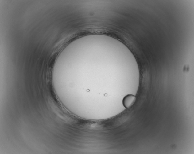 X0000112780165200908201422