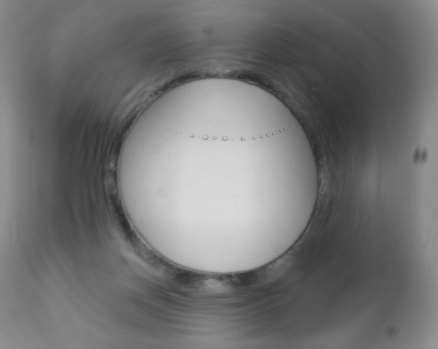 X0000112780166200908201422