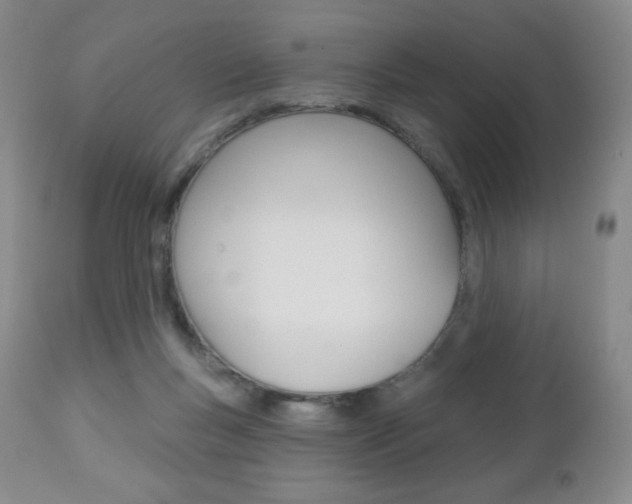 X0000112780167200908201422