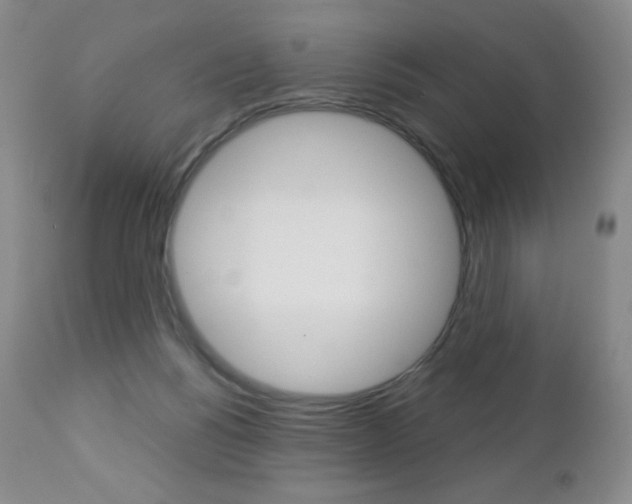 X0000112780168200908201422