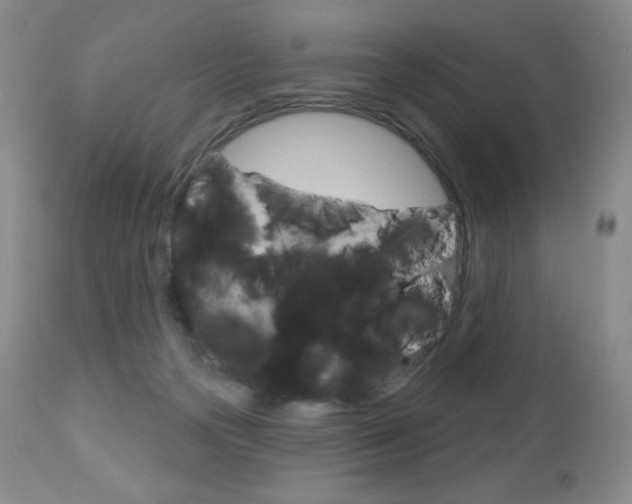 X0000112780169200908201422