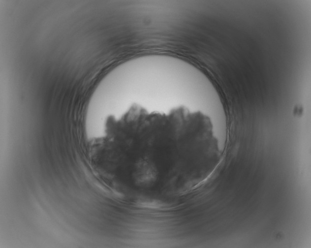 X0000112780171200908201422