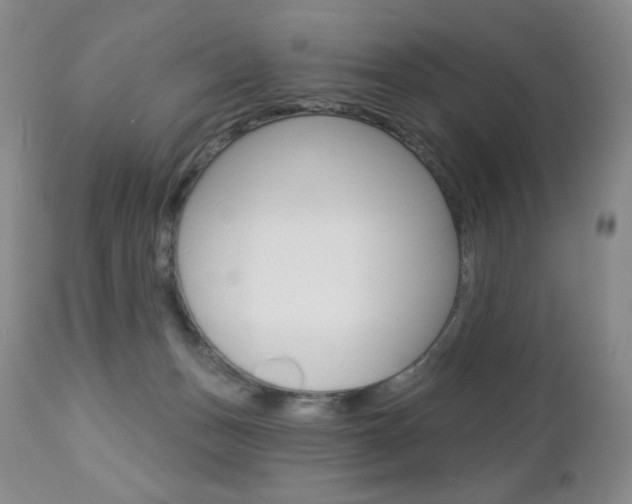 X0000112780175200908201422