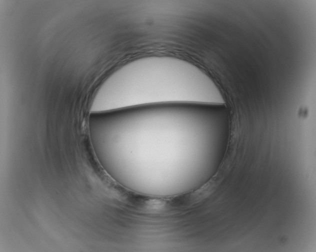 X0000112780176200908201422