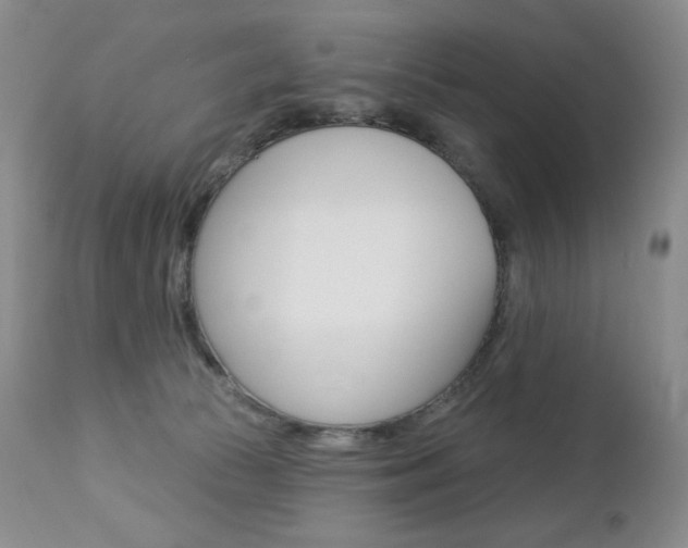 X0000112780177200908201422