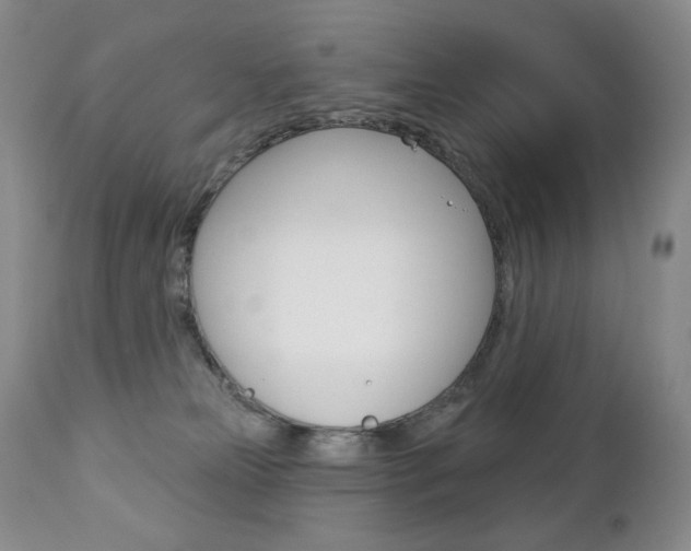X0000112780181200908201422