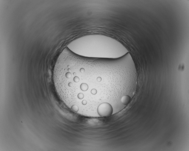 X0000112780183200908201422