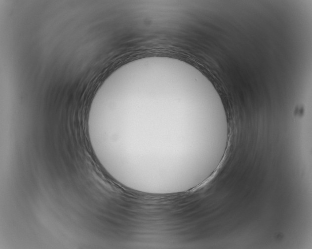 X0000112780186200908201422