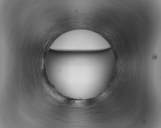 X0000112780188200908201422